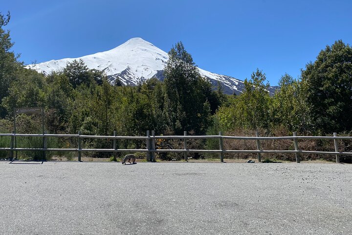 Escursione privata a terra del vulcano Osorno e delle cascate di Petrohué