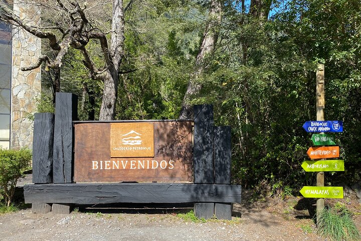 Escursione privata a terra del vulcano Osorno e delle cascate di Petrohué