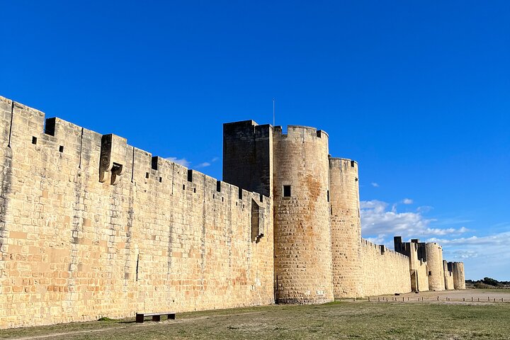 Kleine groep halve dag Camargue en Aigues Mortes tour