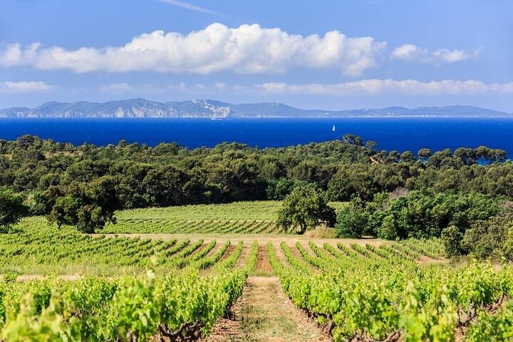 Excursion privée d'une journée en Provence au départ du port de croisière de Toulon
