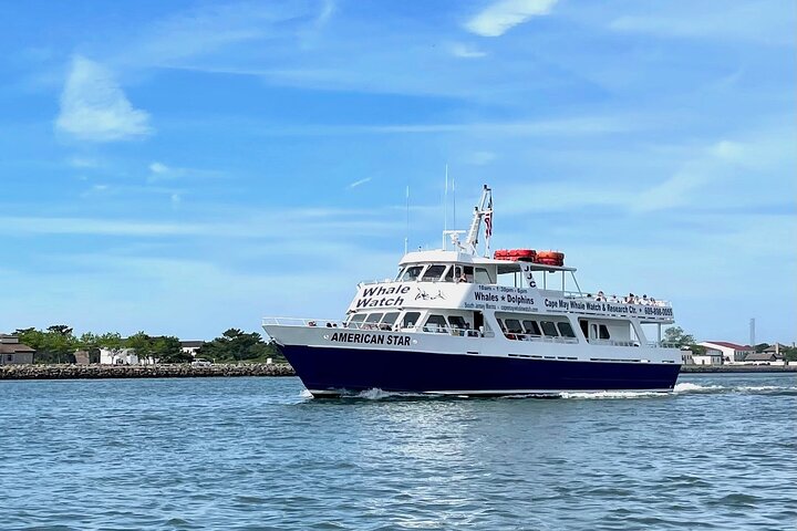 Ecotourcruise om walvissen, dolfijnen en vogels te spotten