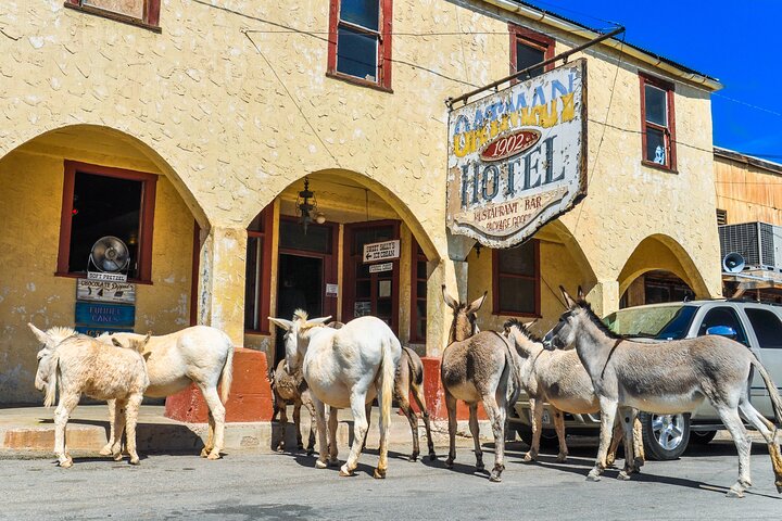 Oatman Mining Camp & Burros : Visite historique de la Route 66 au départ de Laughlin