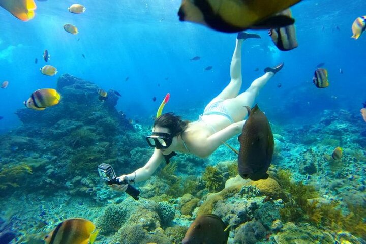 Privat dagstur till Nusa Penida med snorkling och Kelingking Beach