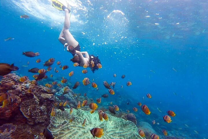 Privat dagstur till Nusa Penida med snorkling och Kelingking Beach