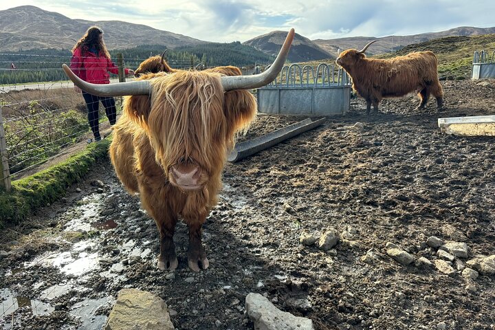 Isle of Skye Høydepunkter - Skreddersydd privat tur for opptil 7 gjester