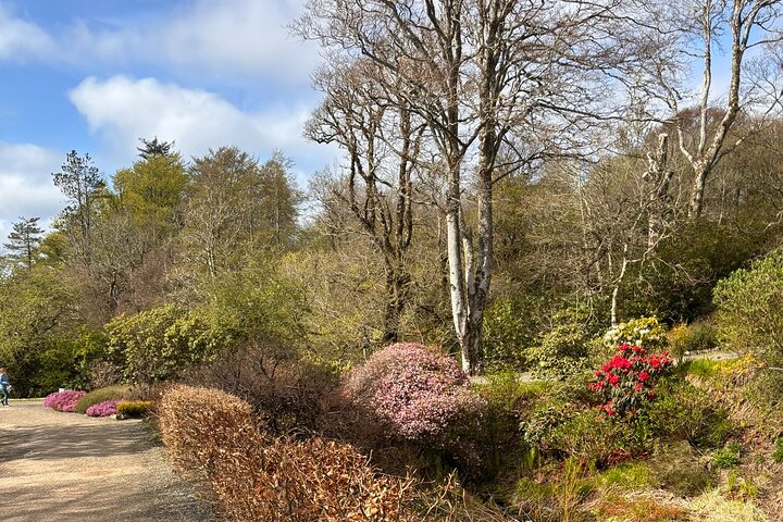 Isle of Skye Høydepunkter - Skreddersydd privat tur for opptil 7 gjester