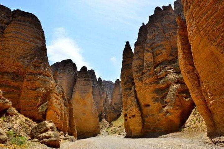 Tour privato di un giorno nella foresta di pietra fluviale gialla di Lanzhou