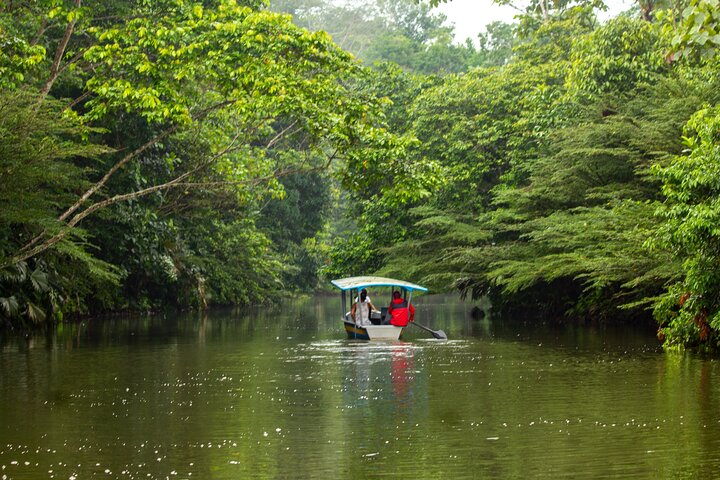 Avventura di 4 giorni all-inclusive in Amazzonia: esplora la foresta pluviale di Napo