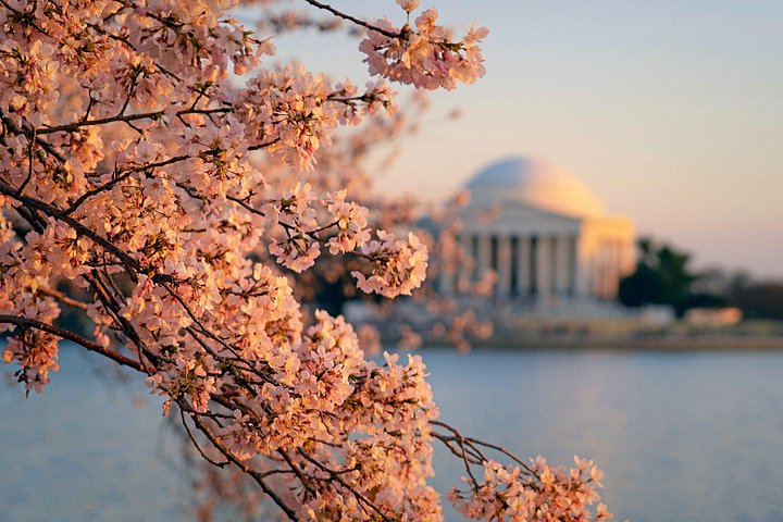 Philadelphia und Washington D.C. 2-Tages-Tour von New York