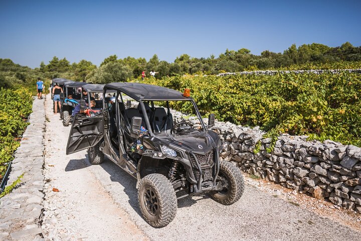 Tour Safari en Buggy Korcula : Playas, Caminos secundarios & Catas de vinos