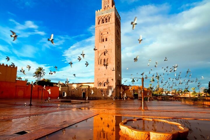 Excursão de um dia em Marrakech a partir de Agadir: Medina & Souks Tour