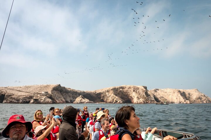 Ballestas-øyene fra Puerto San Martin