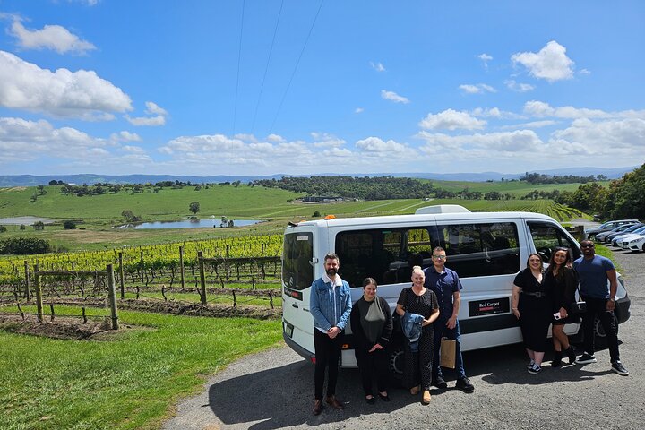 Melbourne: Tour del vino, del gin, del whisky e del cioccolato della valle di Yarra