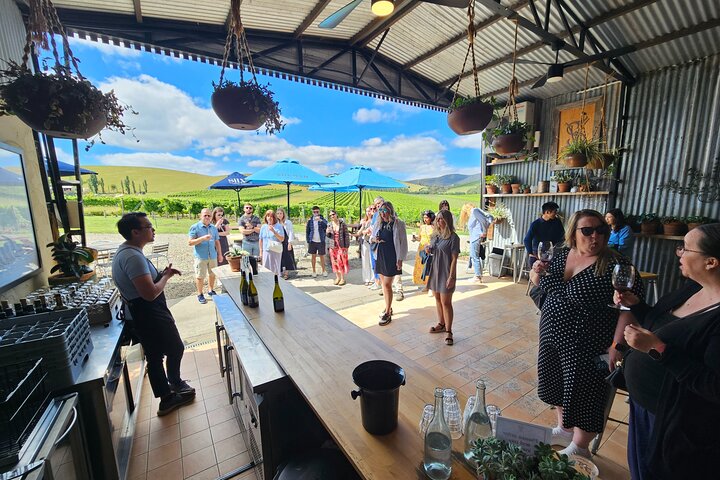 Melbourne: Tour del vino, del gin, del whisky e del cioccolato della valle di Yarra