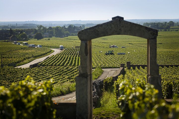 Full-Day Bourgogne Vin & Gastronomi: Tastings & Gourmet Lunch