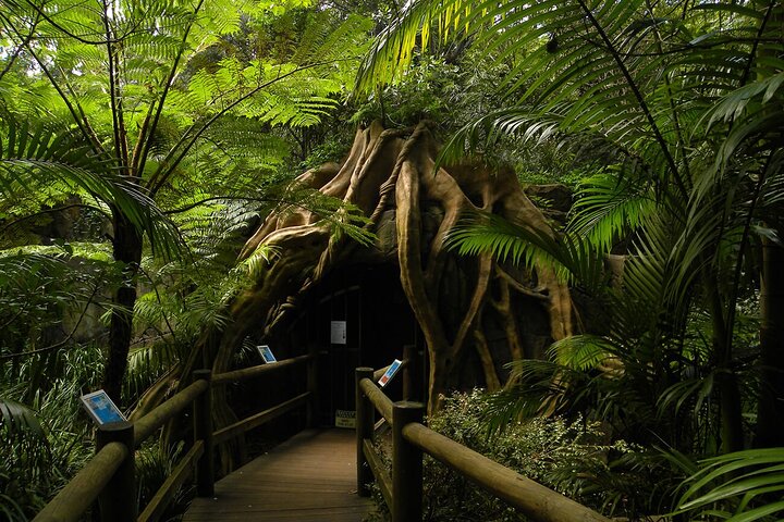 Hoteller i nærheden af Deluxe Springbrook & Mt Tamborine Glow Worms