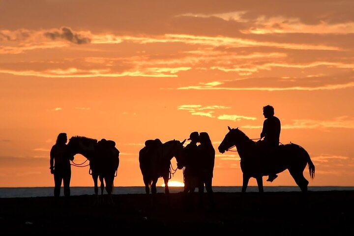 Balade à cheval à Puerto Carrillo : Plage & Jungle