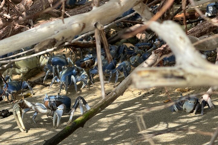 Maritiem avontuur Bahia de Cinto en Playa Cristal, Tayrona Park
