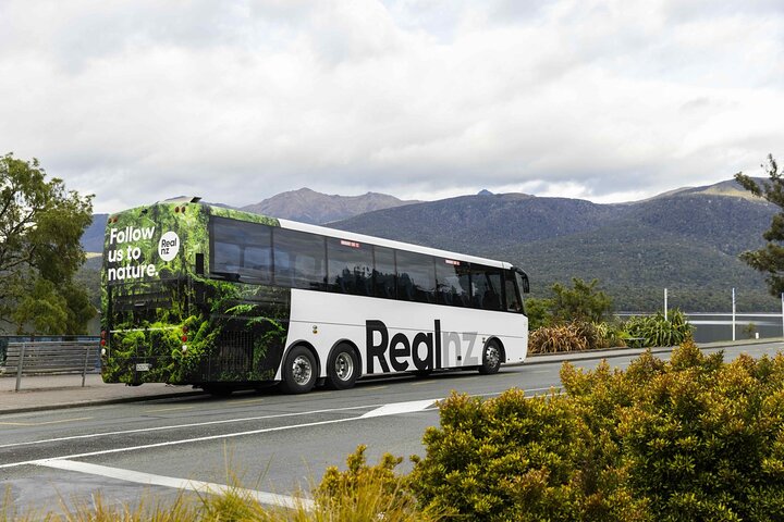 Tvilsomt Sound Wilderness Cruise fra Te Anau
