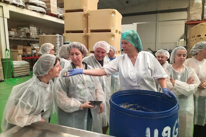 Visita y Experiencia Gastronómica Fábrica de Anchoas de Santoña