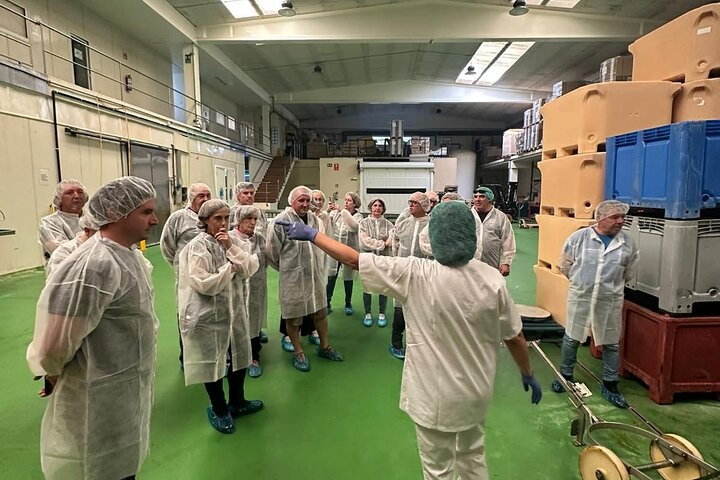 Visita y Experiencia Gastronómica Fábrica de Anchoas de Santoña