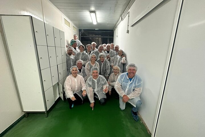 Visita y Experiencia Gastronómica Fábrica de Anchoas de Santoña