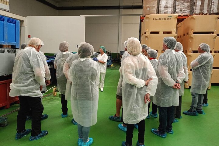 Visita y Experiencia Gastronómica Fábrica de Anchoas de Santoña