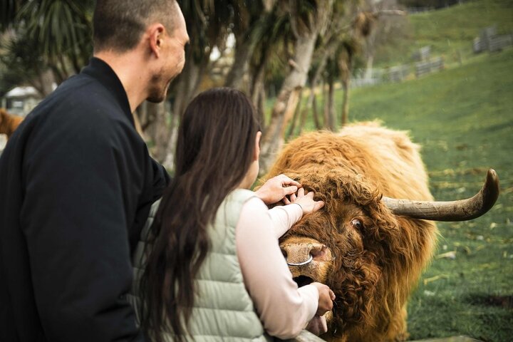 Queenstown Lake Cruise und Walter Peak Farm Abenteuer