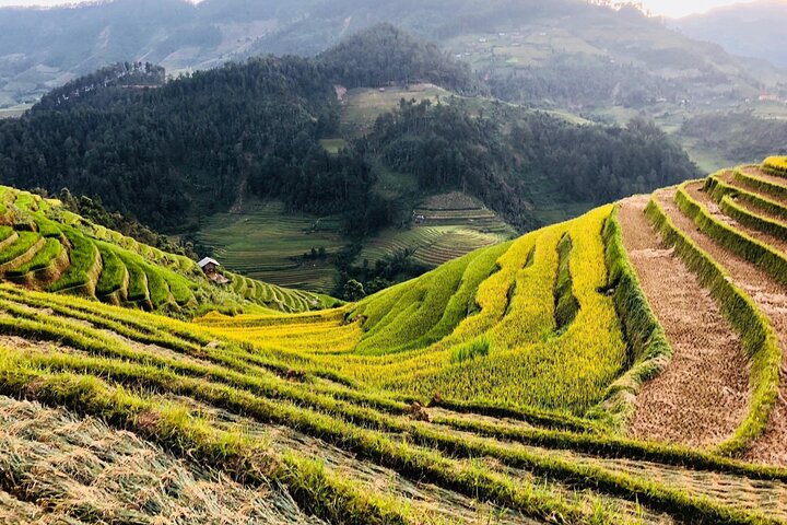 Privétour van een hele dag in Sapa met de auto