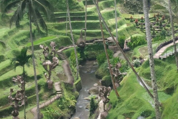 Bali Shore Utflykt från Benoa Port – All-Inclusive privat tur