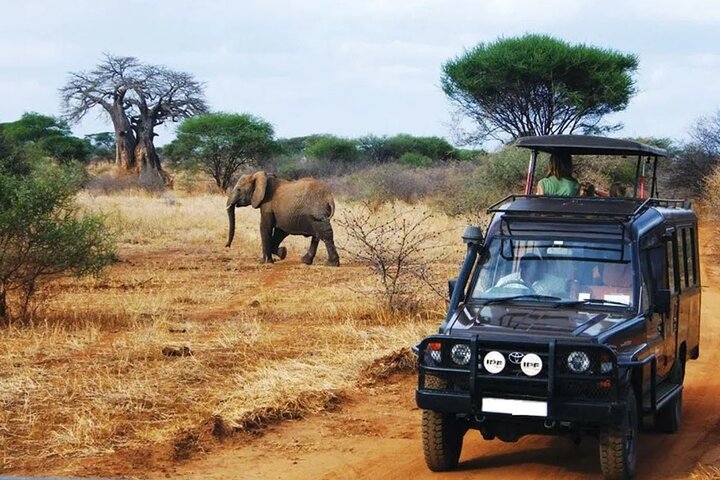 Hluhluwe Imfolozi Big 5 Game Reserve tur fra Durban