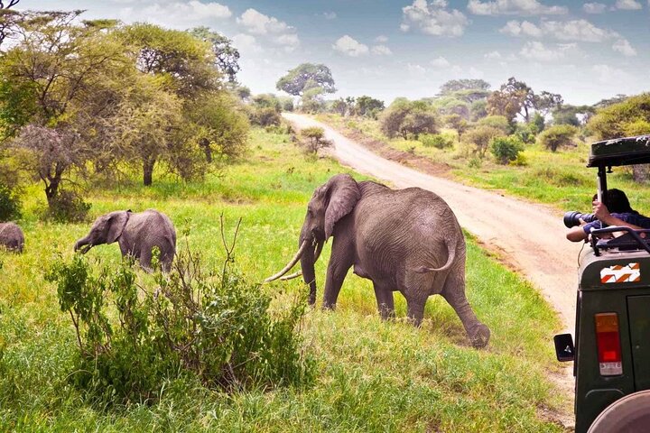 Hluhluwe Imfolozi Big 5 Game Reserve tur fra Durban