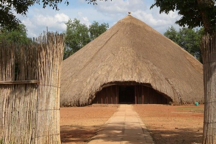 Safari privato di 3 giorni sulla Garden Route da Città del Capo