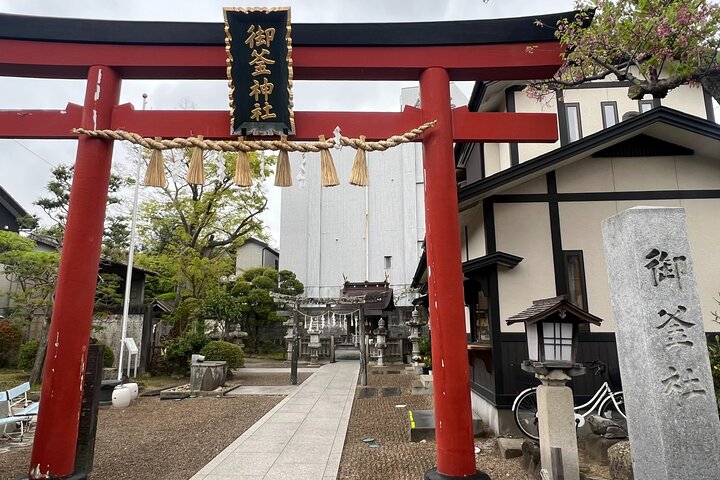 Lokale matturer i Shiogama, Japan Topp Tuna og Sushi Town