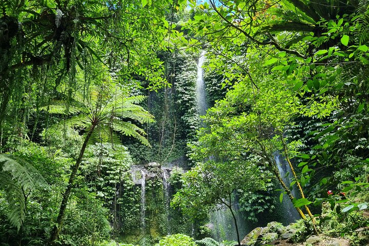 Lombok Tour privado Cascada y pueblo tradicional, incluida la playa