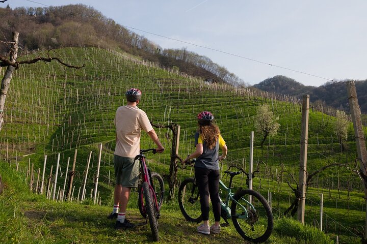 Valdobbiadene per e-bike door wijngaarden - Prosecco Hills UNESCO