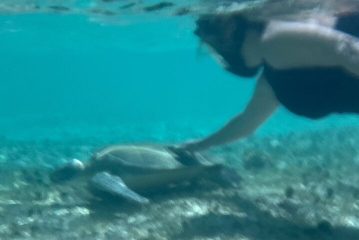 Aventura de snorkel en scooter marino en las Bahamas