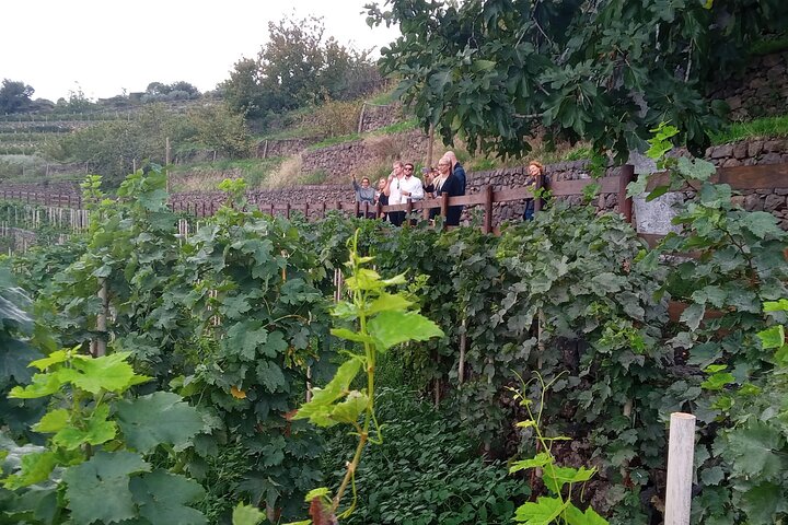 Privat omvisning i Etna og vingårdsbesøk med mat- og vinsmaking fra Taormina