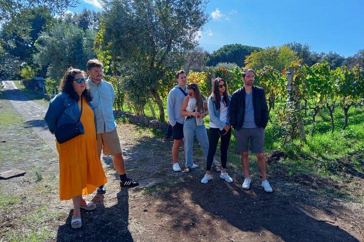 Privat omvisning i Etna og vingårdsbesøk med mat- og vinsmaking fra Taormina