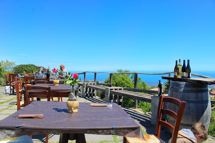 Privérondleiding van 6 uur langs drie Etna-wijnhuizen met eten en wijnproeverij