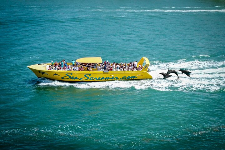 Sea Screamer L'unico motoscafo di Clearwater per l'osservazione dei delfini