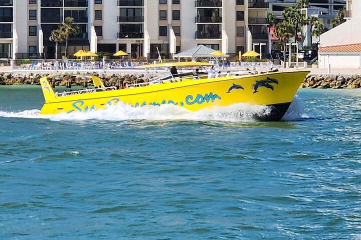 Sea Screamer L'unico motoscafo di Clearwater per l'osservazione dei delfini