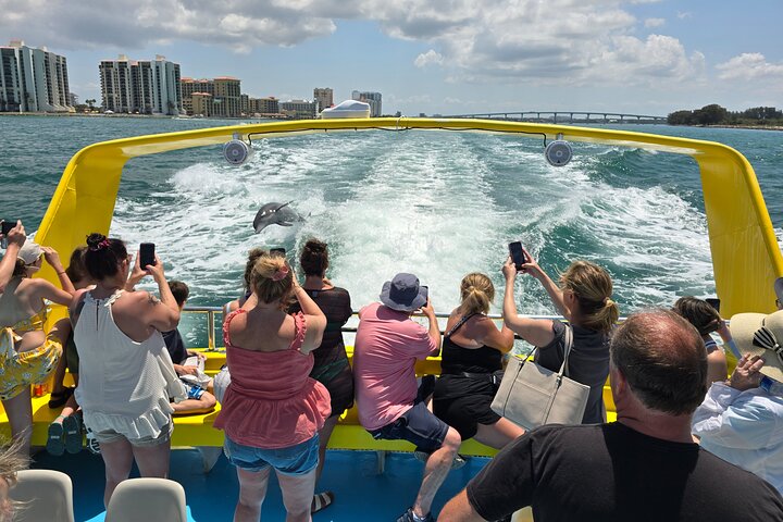 Sea Screamer L'unico motoscafo di Clearwater per l'osservazione dei delfini