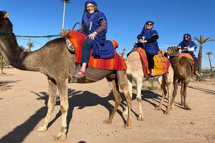 Marrakech au départ de Casablanca avec Calèche et Balade à dos de chameau