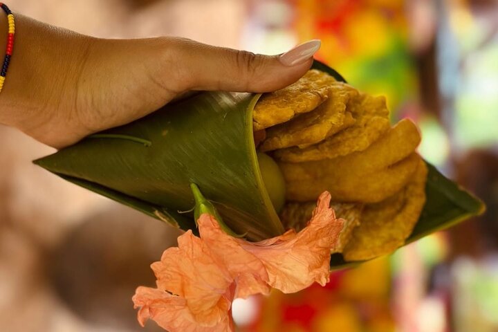 Panama City : Visite d'un village indien Embera et d'une cascade avec déjeuner