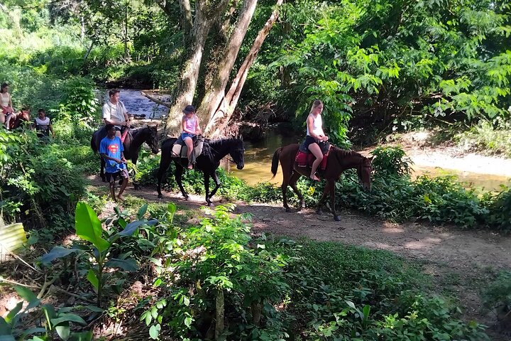 ''Aventura na Costa dos Corais: Cachoeira Biausevu e Praia Natadola!''