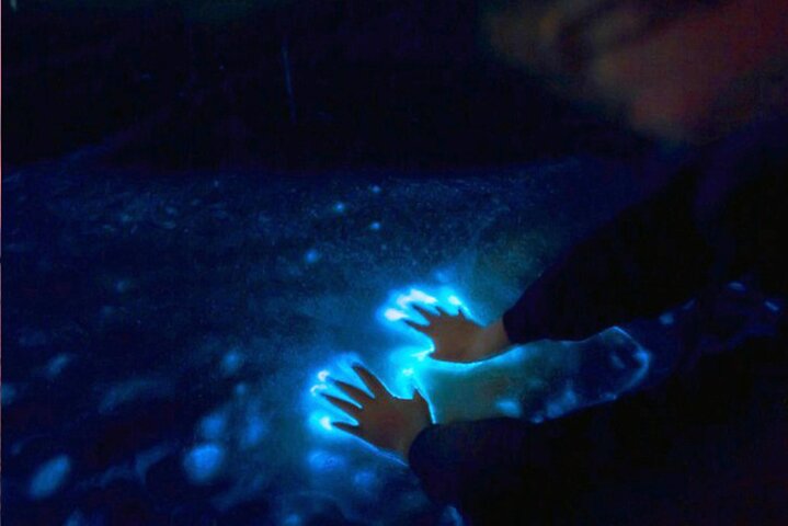 Restauranter i nærheten av Bioluminescence Clear Kayak & Paddleboard Tour