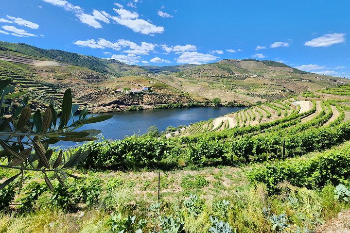 Douro Valley privat tur (vingård + båd + udsigtspunkt)