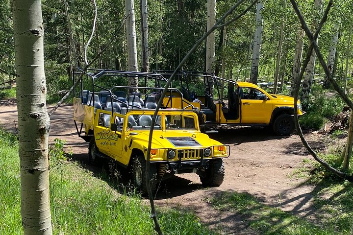Not So Mellow Marshmallow Tour (Wildside 4x4 Tours)