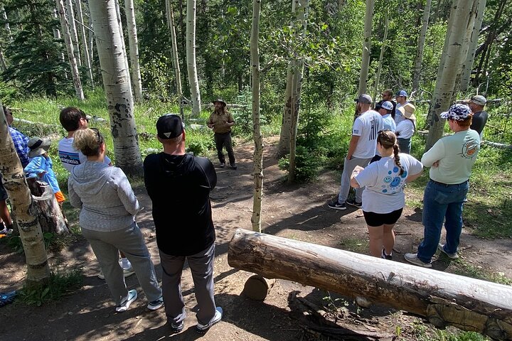 Not So Mellow Marshmallow Tour (Wildside 4x4 Tours)